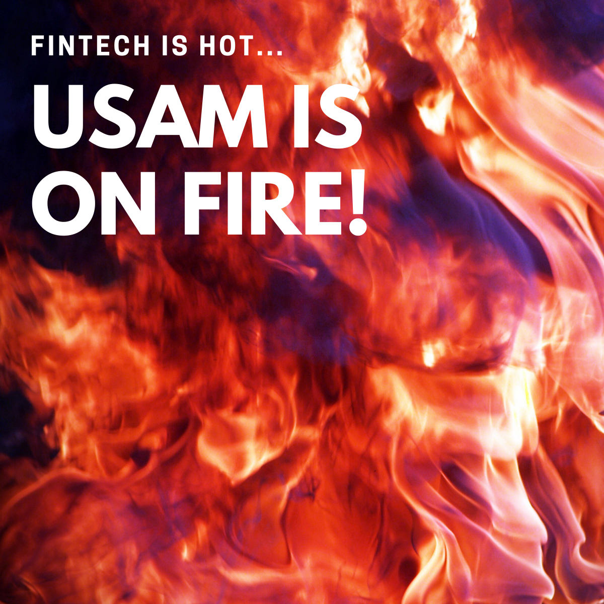 USAM IS ON FIRE