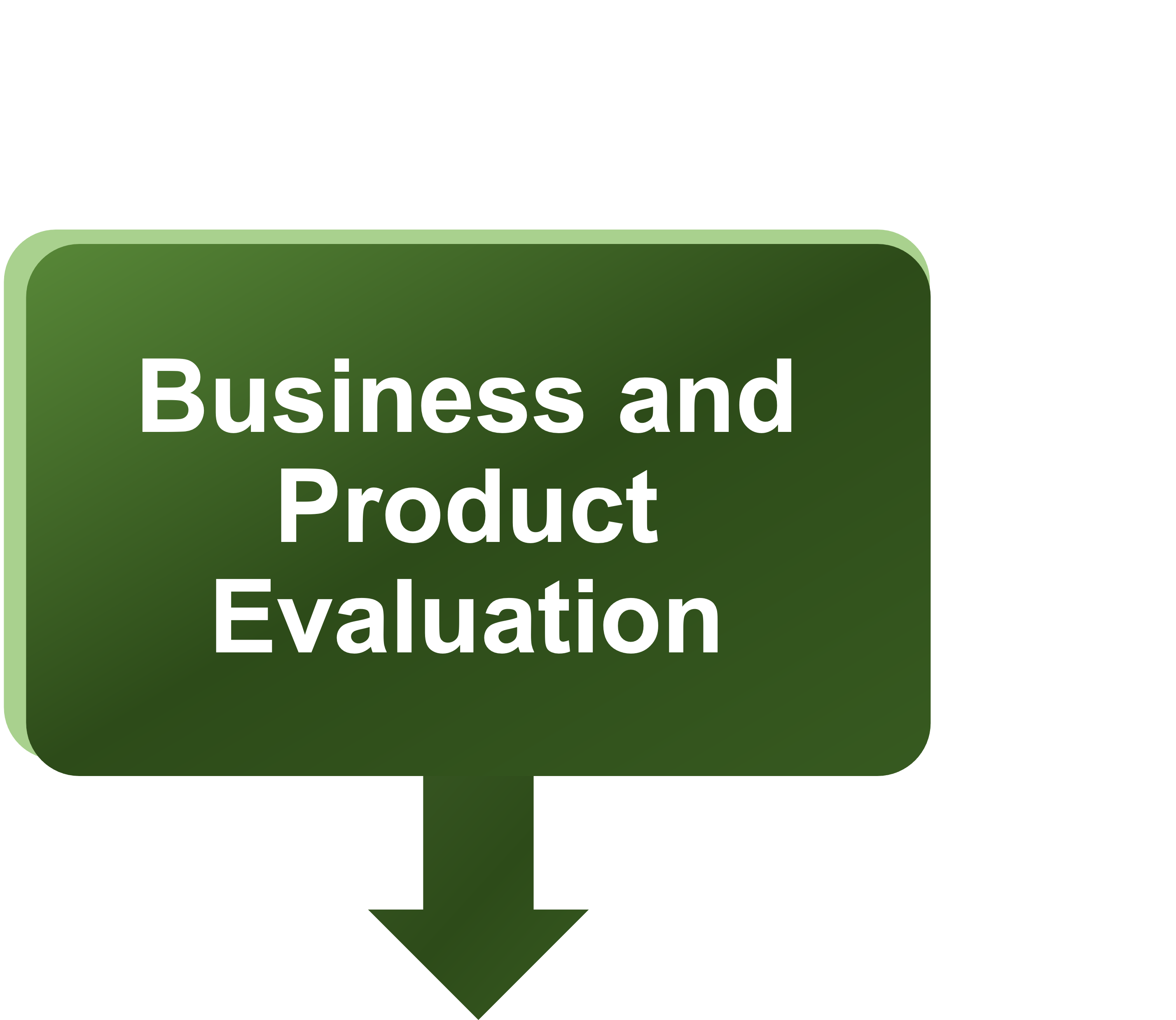 Business and Product Evaluation