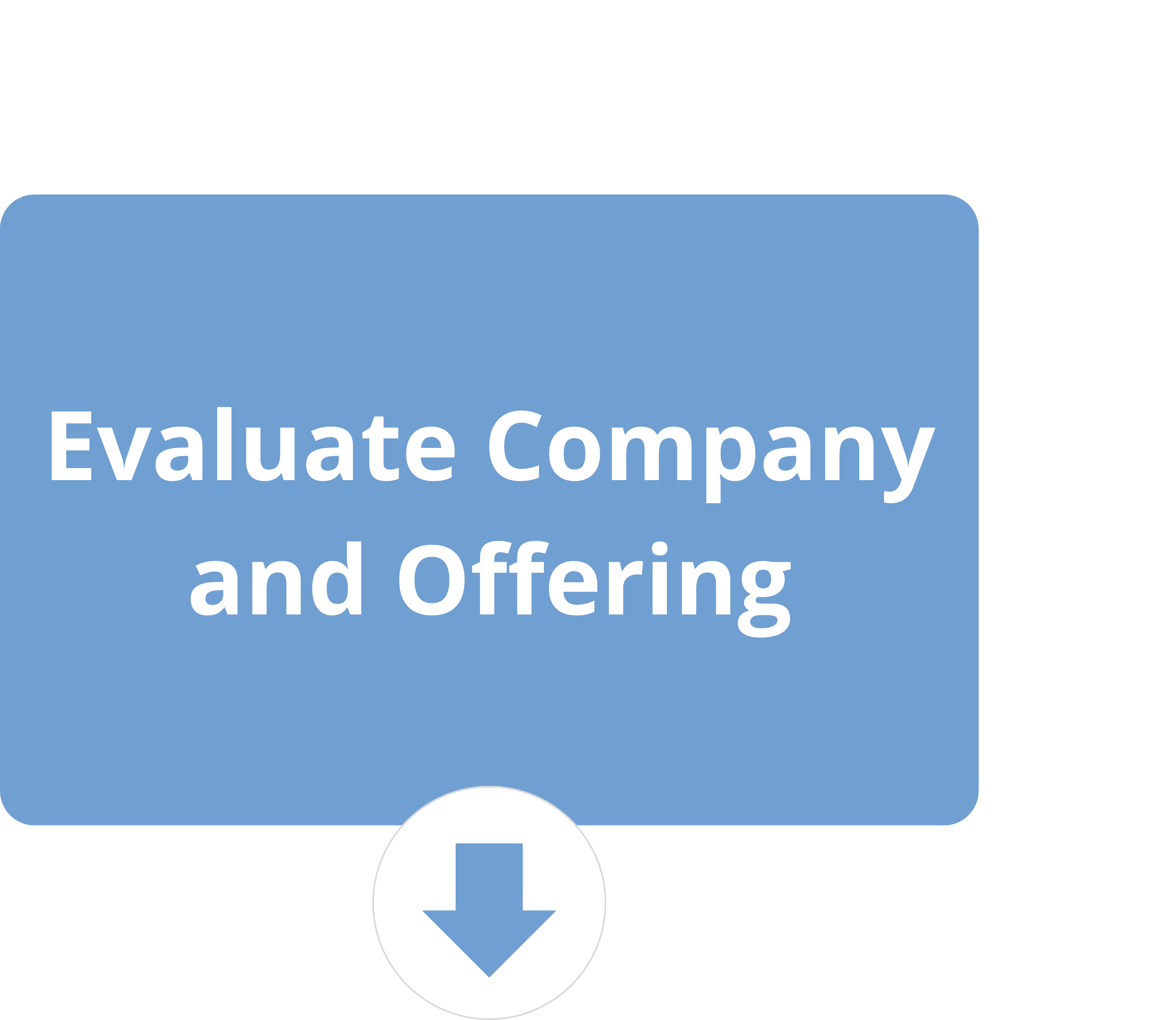 Evaluate Company and Offering