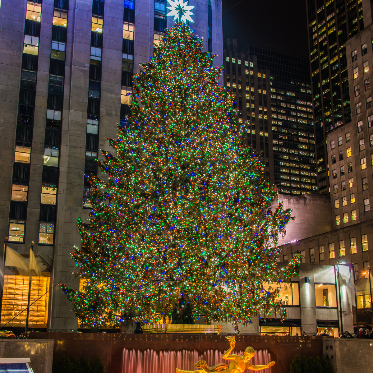 USAM Group Inc. -  Outsourced Sales and Marketing for Enterprises.